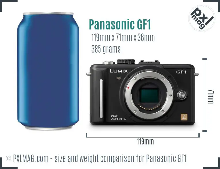Panasonic Lumix DMC-GF1 dimensions scale