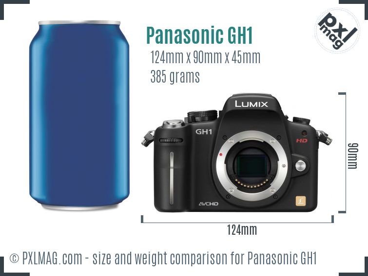 Panasonic Lumix DMC-GH1 dimensions scale