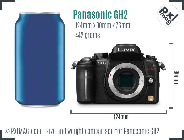 Panasonic Lumix DMC-GH2 dimensions scale