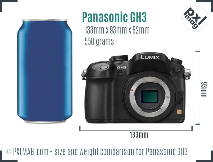 Panasonic Lumix DMC-GH3 dimensions scale