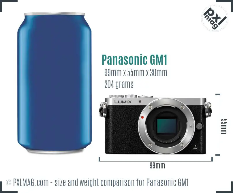 Panasonic Lumix DMC-GM1 dimensions scale
