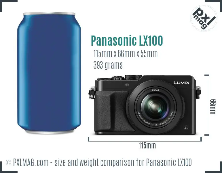 Panasonic Lumix DMC-LX100 dimensions scale