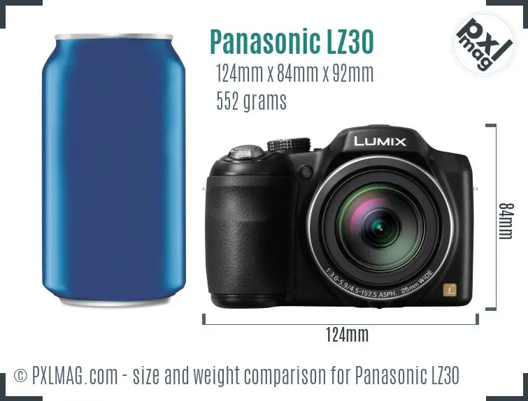 Panasonic Lumix DMC-LZ30 dimensions scale