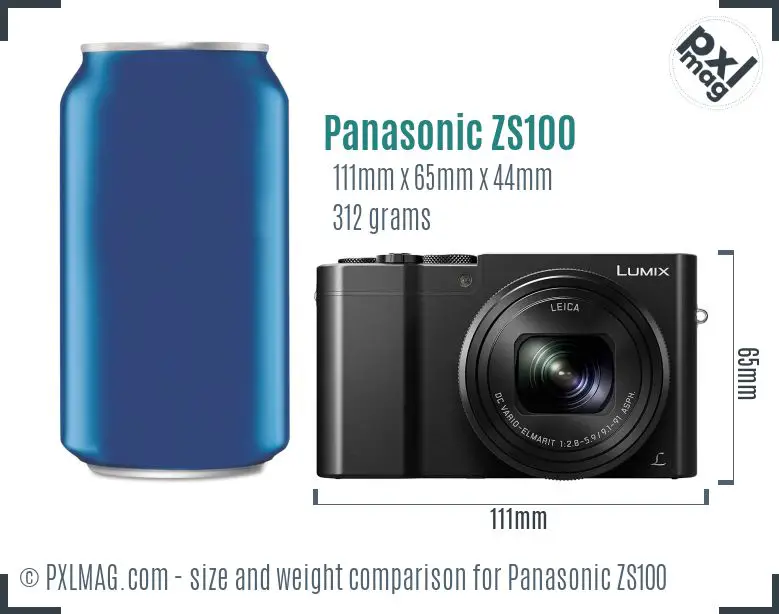Panasonic Lumix DMC-ZS100 dimensions scale