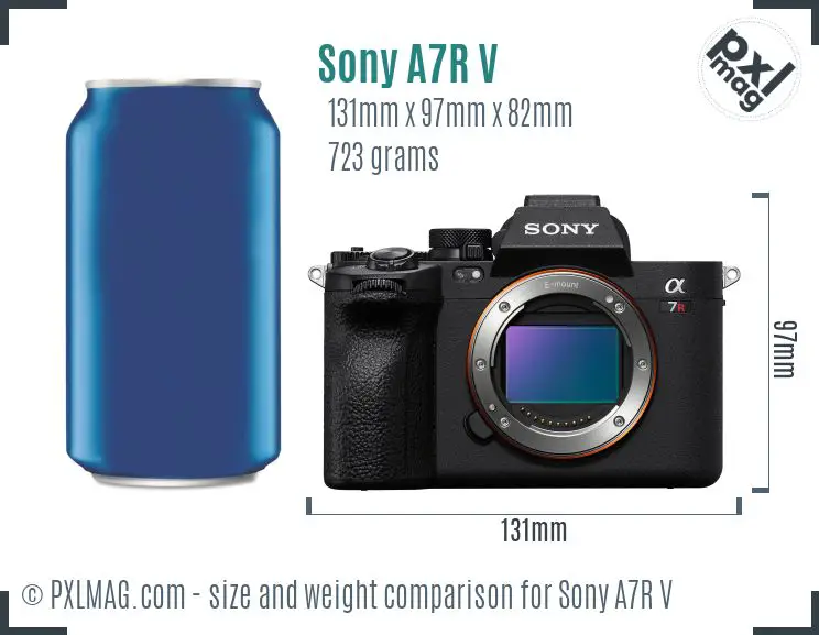 Sony Alpha A7R V dimensions scale