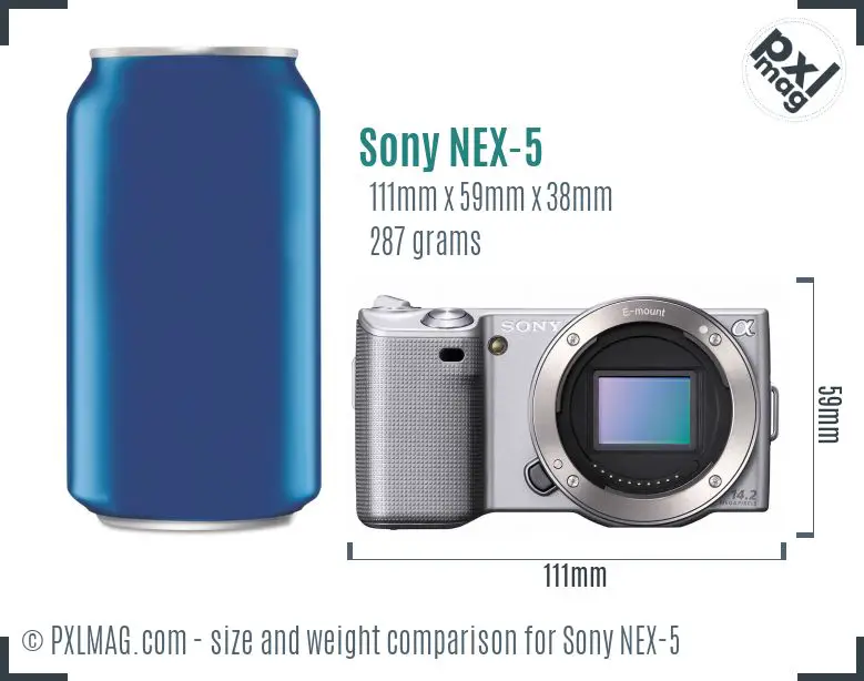 Sony Alpha NEX-5 dimensions scale