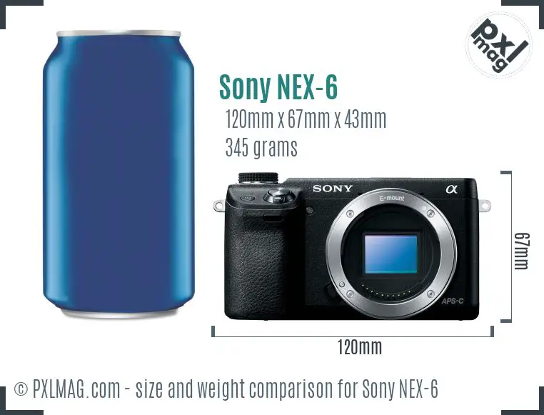 Sony Alpha NEX-6 dimensions scale