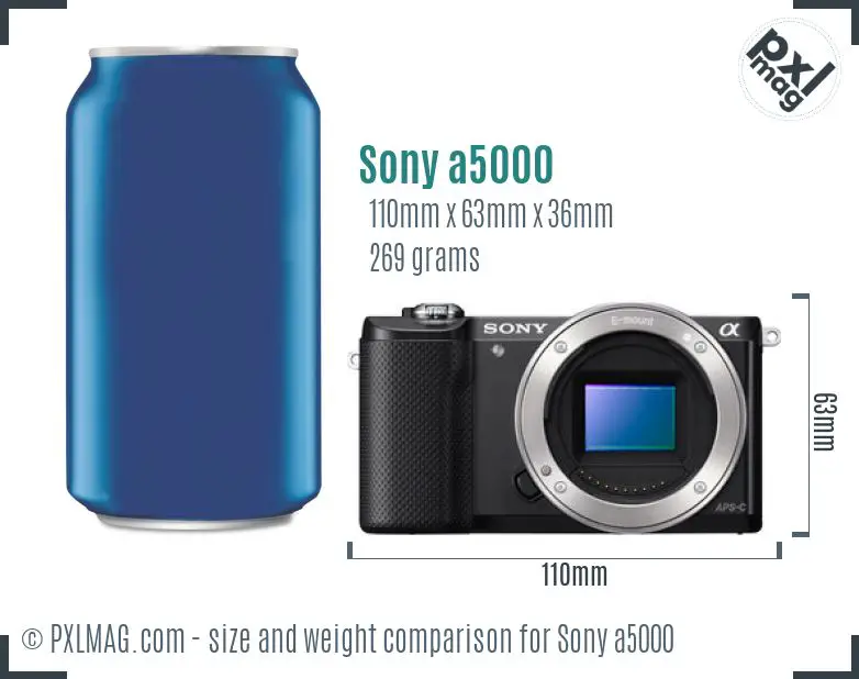 Sony Alpha a5000 dimensions scale