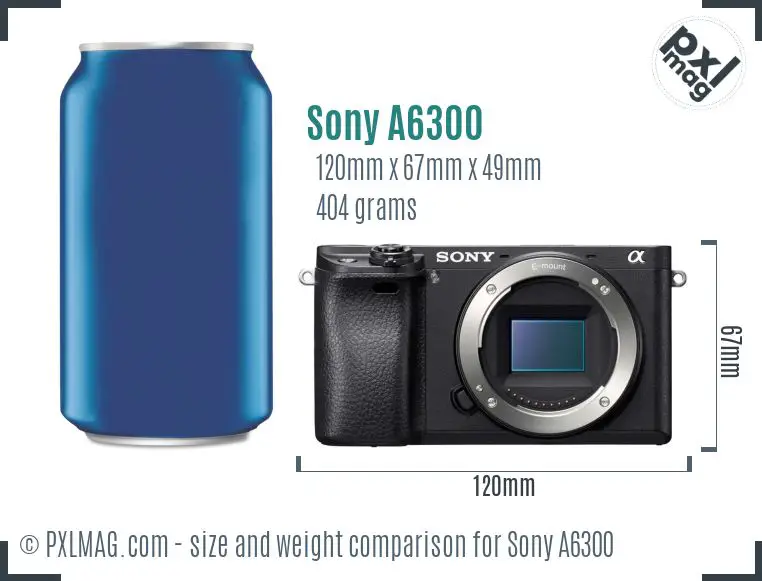 Sony Alpha a6300 dimensions scale