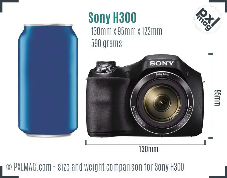 Sony Cyber-shot DSC-H300 dimensions scale