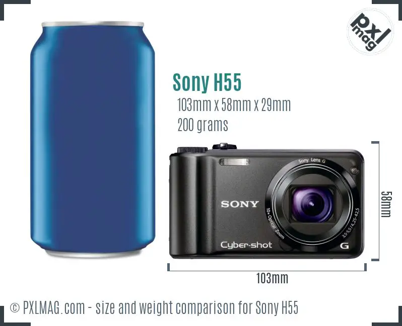 Sony Cyber-shot DSC-H55 dimensions scale