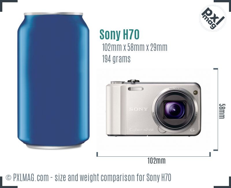 Sony Cyber-shot DSC-H70 dimensions scale