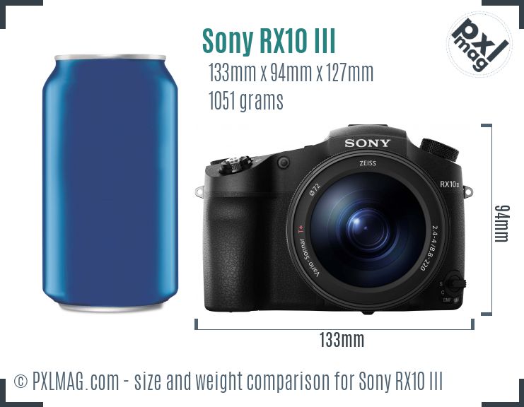 Sony Cyber-shot DSC-RX10 III dimensions scale