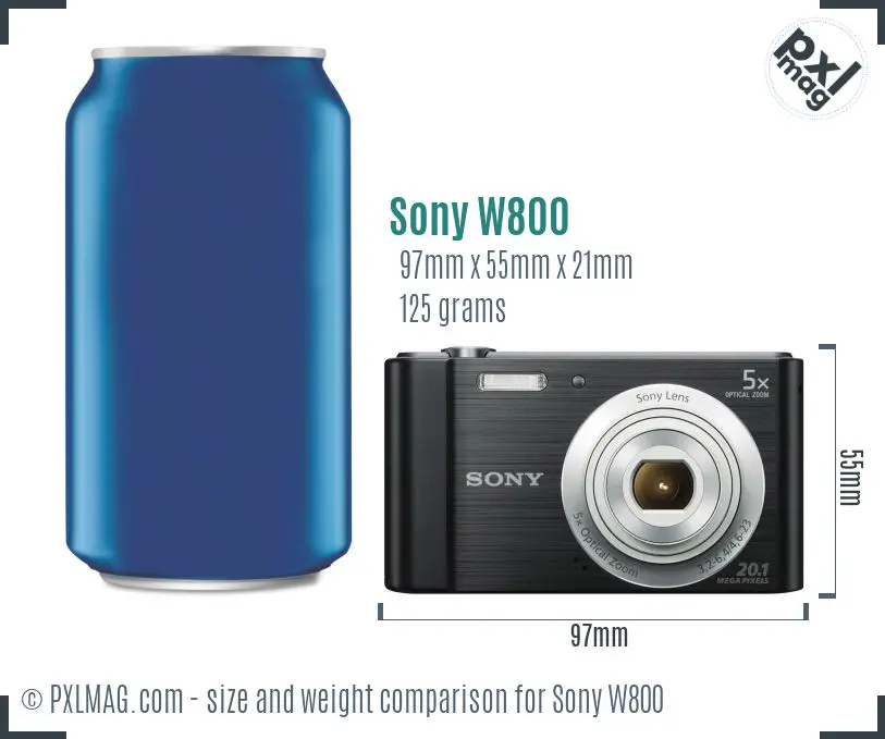 Sony Cyber-shot DSC-W800 dimensions scale
