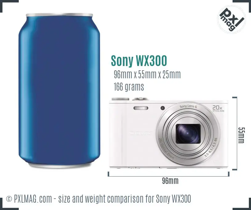 Sony Cyber-shot DSC-WX300 dimensions scale