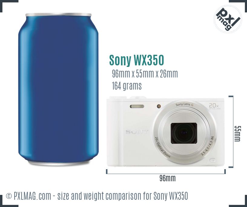 Sony Cyber-shot DSC-WX350 dimensions scale