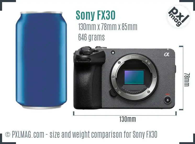 Sony FX30 dimensions scale