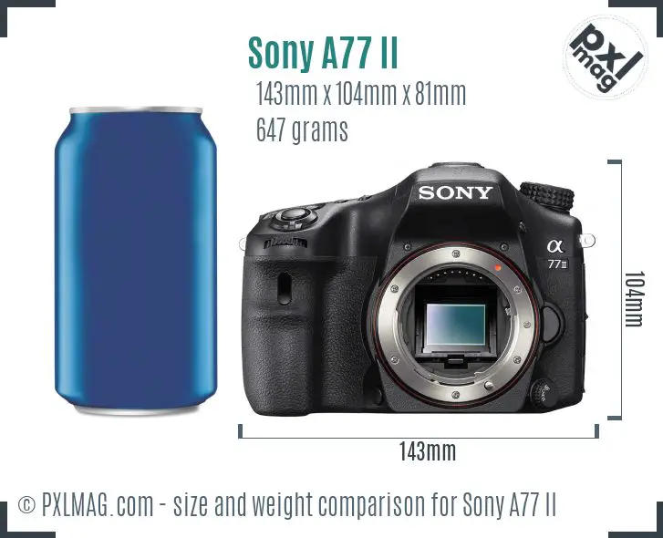 Sony SLT-A77 II dimensions scale