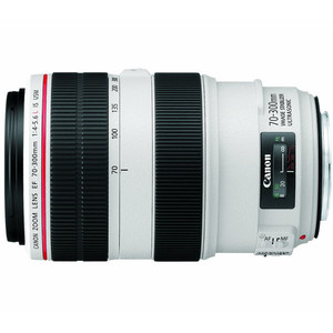 Canon-EF-70-300mm-f4-5.6L-IS-USM lens