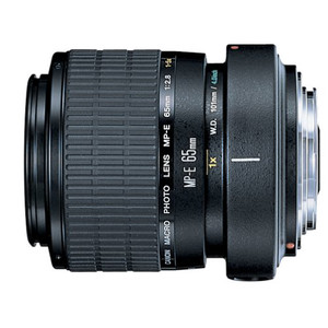 Canon-MP-E-65mm-f2.5-1-5x-Macro lens Canon-MP-E-65mm-f2.5-1-5x-Macro lens