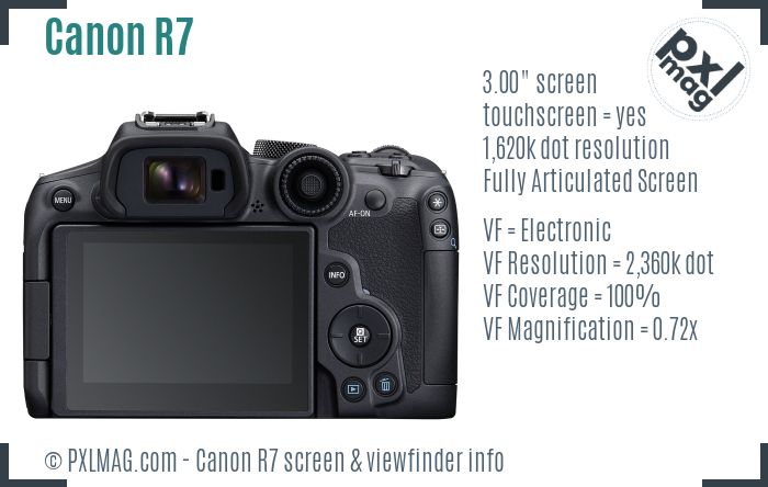 Canon EOS R7 screen and viewfinder