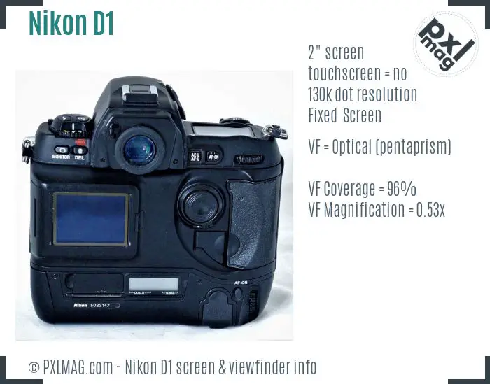 Nikon D1 screen and viewfinder