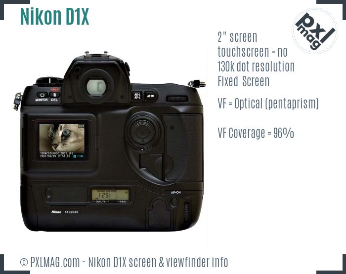 Nikon D1X screen and viewfinder