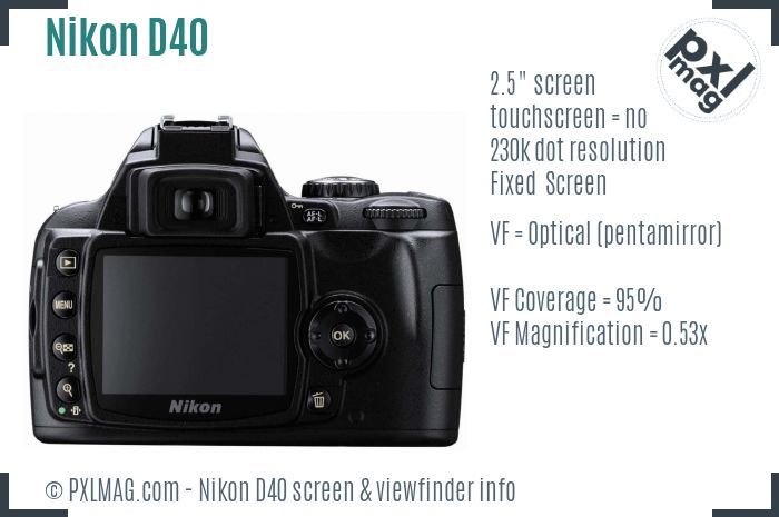 Nikon D40 screen and viewfinder