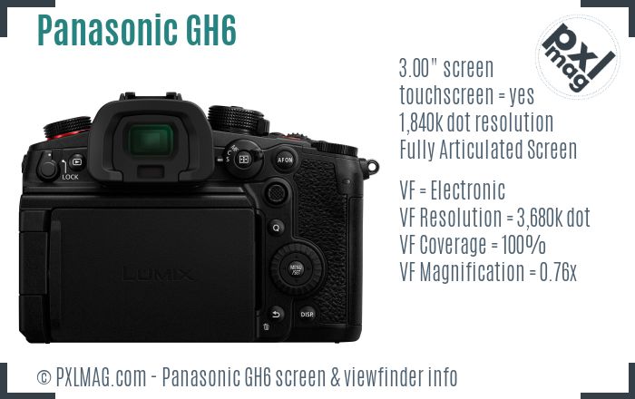 Panasonic Lumix DC-GH6 screen and viewfinder