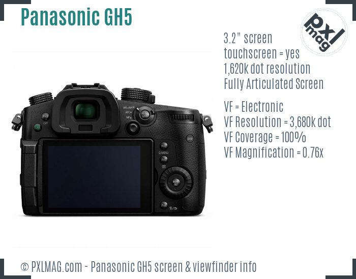 Panasonic Lumix DMC-GH5 screen and viewfinder