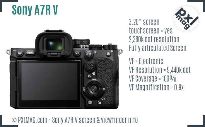 Sony Alpha A7R V screen and viewfinder