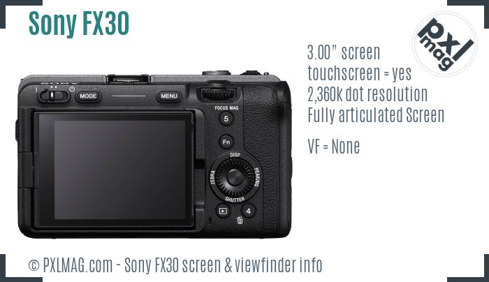 Sony FX30 screen and viewfinder