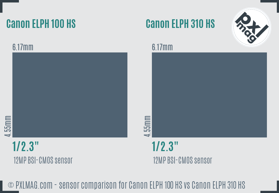 Canon ELPH 100 HS vs Canon ELPH 310 HS sensor size comparison