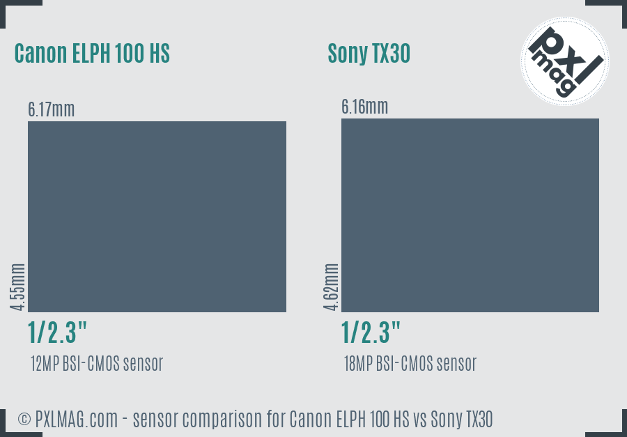 Canon ELPH 100 HS vs Sony TX30 sensor size comparison