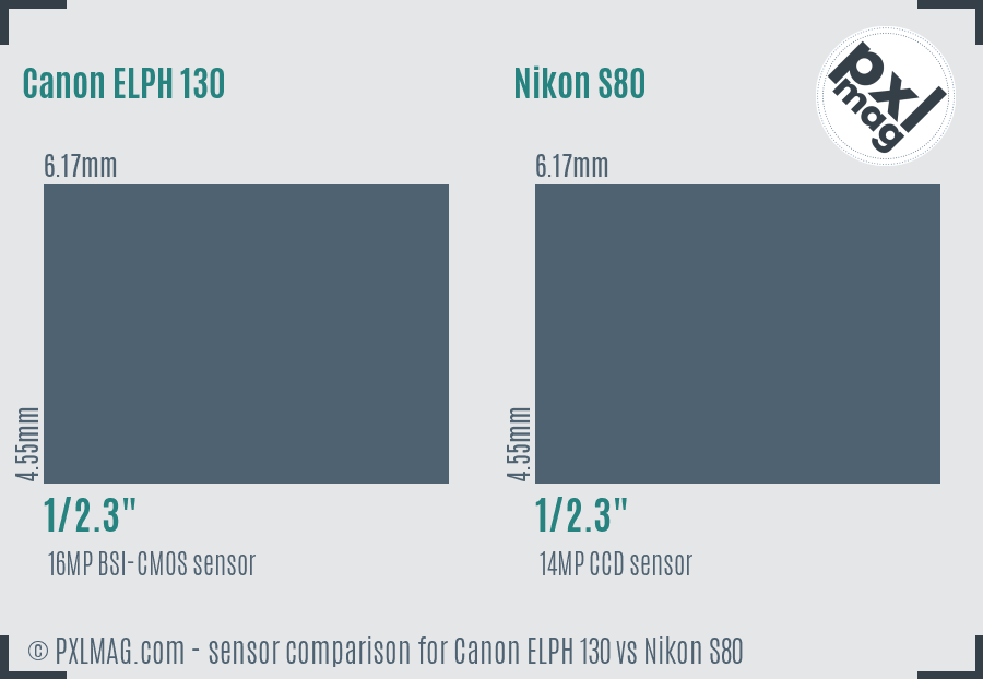 Canon ELPH 130 vs Nikon S80 sensor size comparison