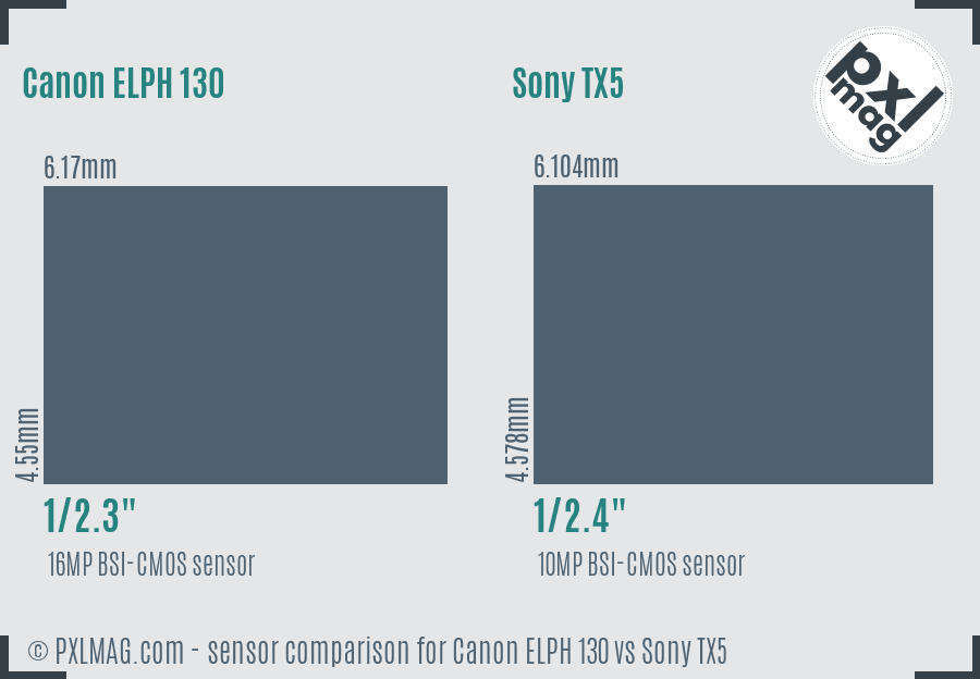 Canon ELPH 130 vs Sony TX5 sensor size comparison
