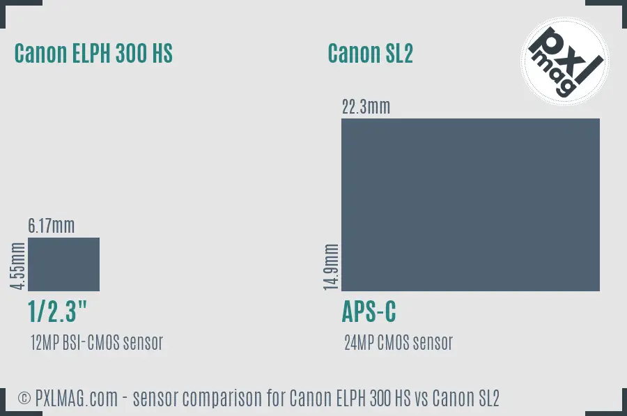 Canon ELPH 300 HS vs Canon SL2 sensor size comparison