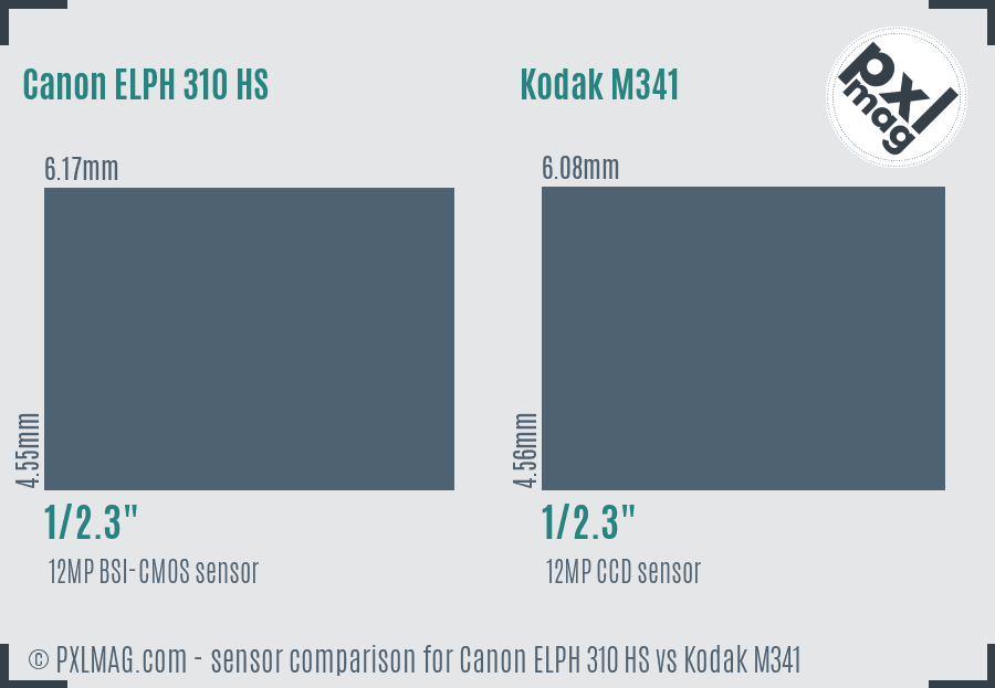 Canon ELPH 310 HS vs Kodak M341 sensor size comparison