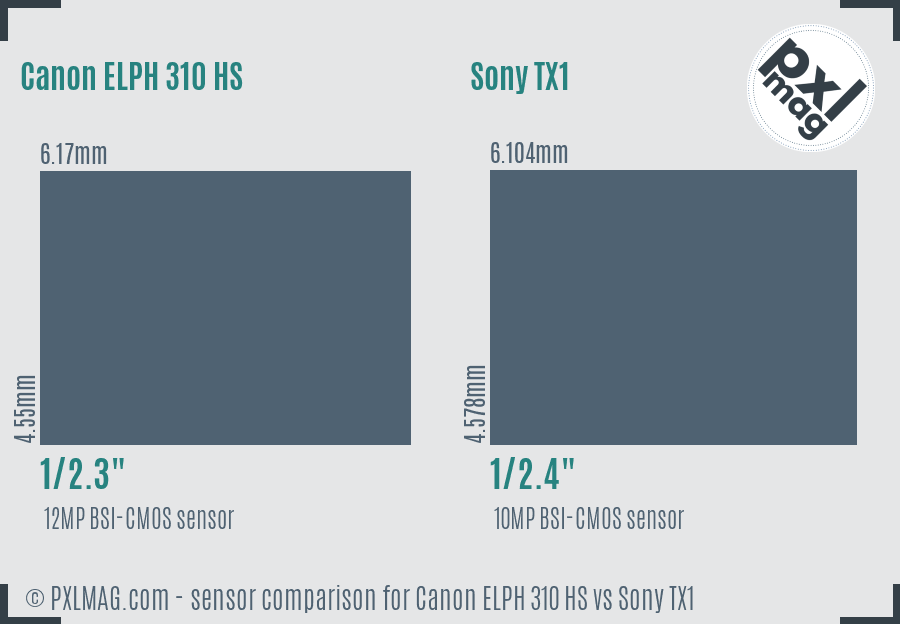 Canon ELPH 310 HS vs Sony TX1 sensor size comparison