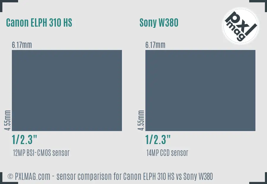 Canon ELPH 310 HS vs Sony W380 sensor size comparison