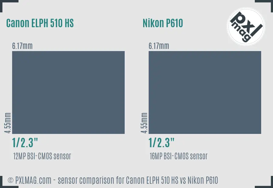 Canon ELPH 510 HS vs Nikon P610 sensor size comparison Canon ELPH 510 HS vs Nikon P610 sensor size comparison