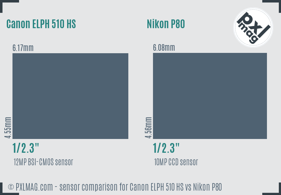 Canon ELPH 510 HS vs Nikon P80 sensor size comparison Canon ELPH 510 HS vs Nikon P80 sensor size comparison