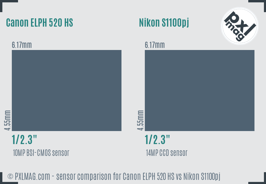Canon ELPH 520 HS vs Nikon S1100pj sensor size comparison
