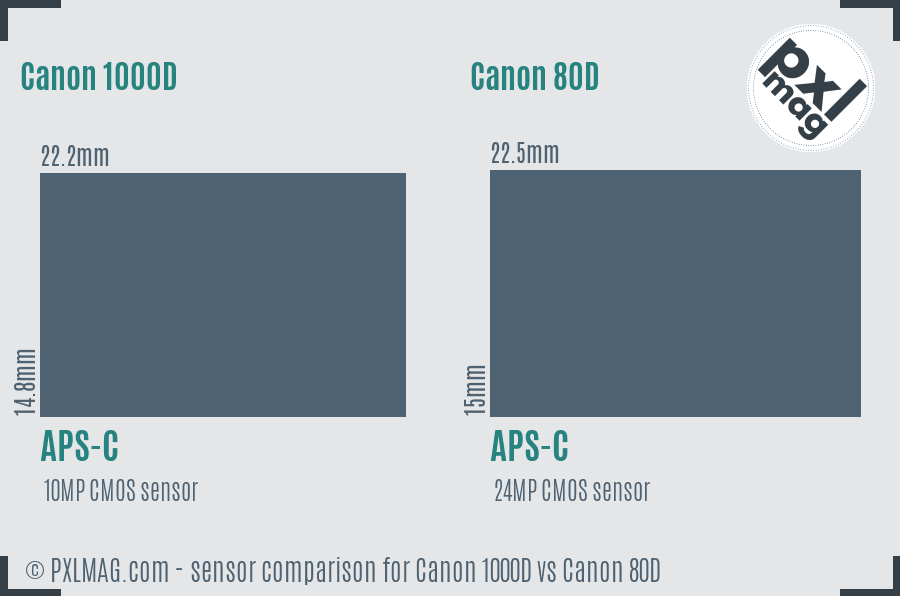 Canon 1000D vs Canon 80D sensor size comparison