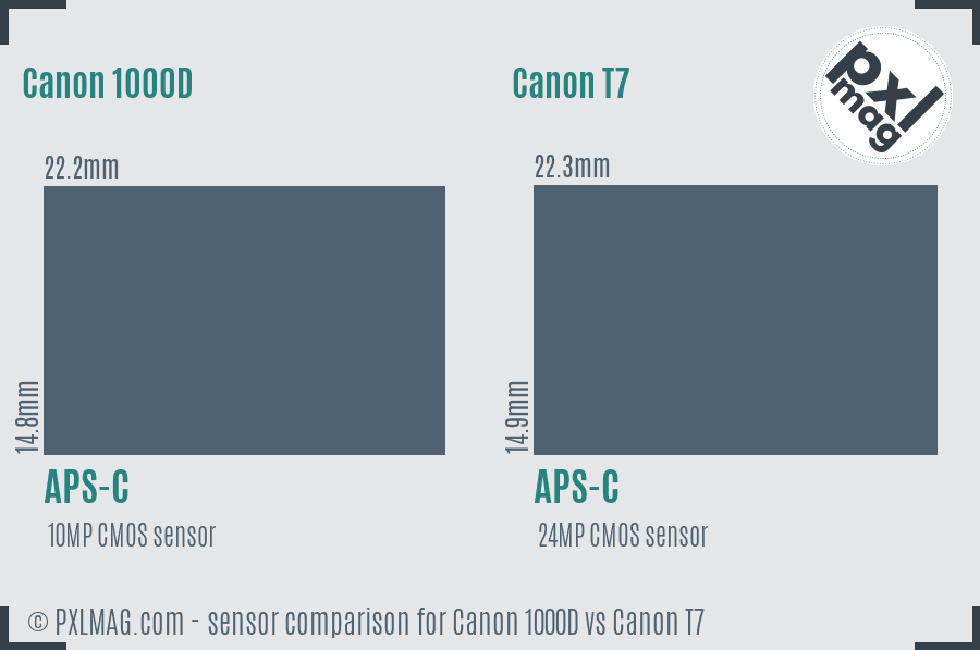 Canon 1000D vs Canon T7 sensor size comparison