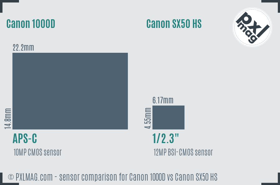 Canon 1000D vs Canon SX50 HS sensor size comparison