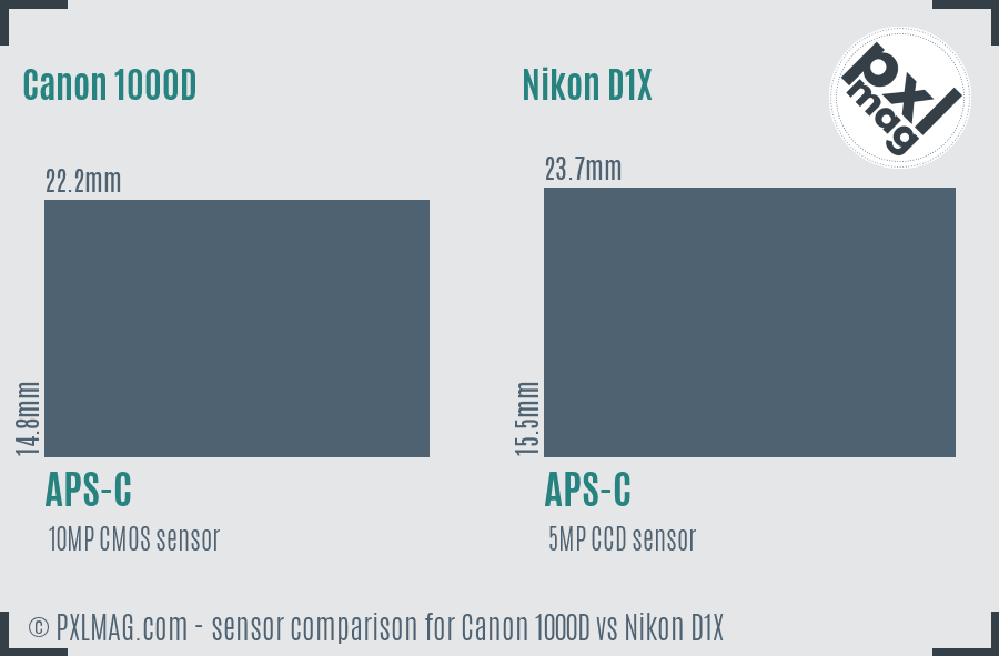 Canon 1000D vs Nikon D1X sensor size comparison Canon 1000D vs Nikon D1X sensor size comparison