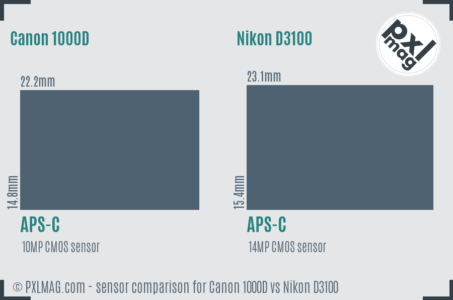 Canon 1000D vs Nikon D3100 sensor size comparison