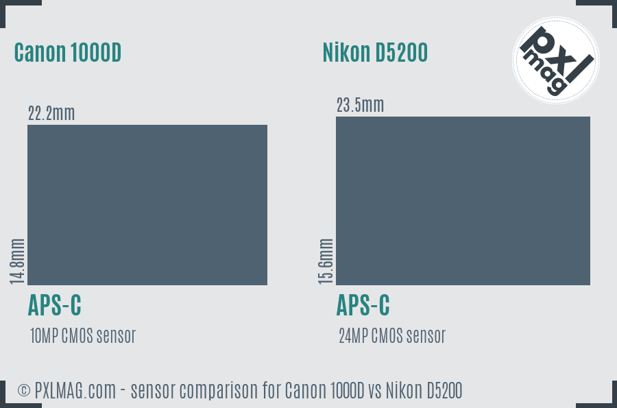 Canon 1000D vs Nikon D5200 sensor size comparison