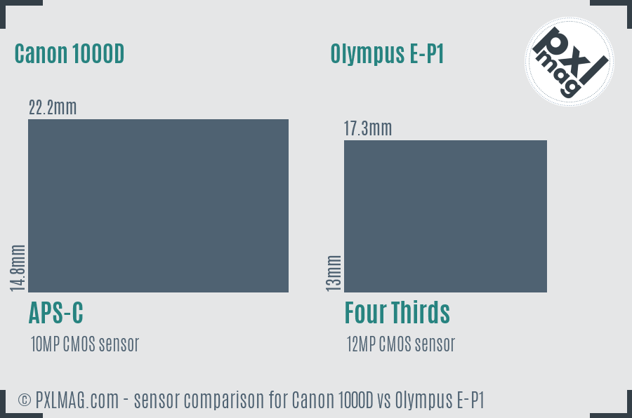 Canon 1000D vs Olympus E-P1 sensor size comparison